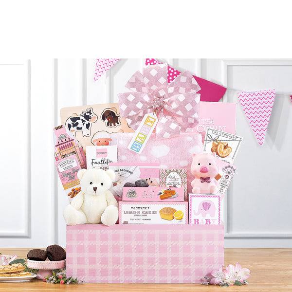 505-welcome-home-baby-girl-gift-basket-thankfullyyours