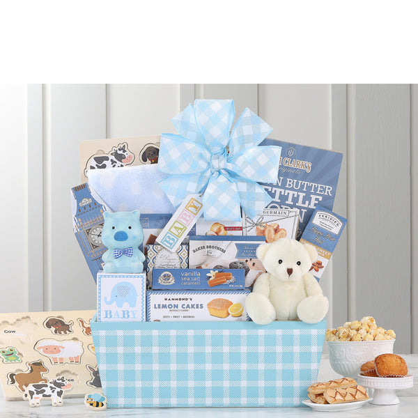 507-welcome-home-baby-boy-gift-basket-thankfullyyours